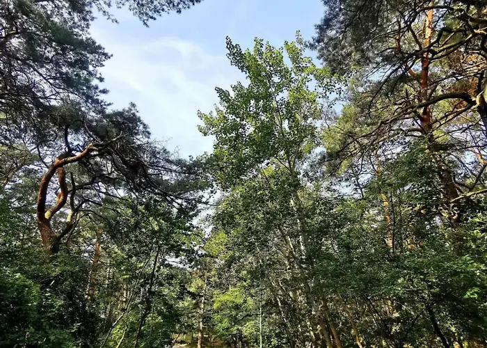 Apartament Plażowa Park